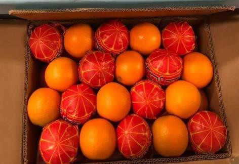 Packed Egyptian oranges prepared for commercial supply