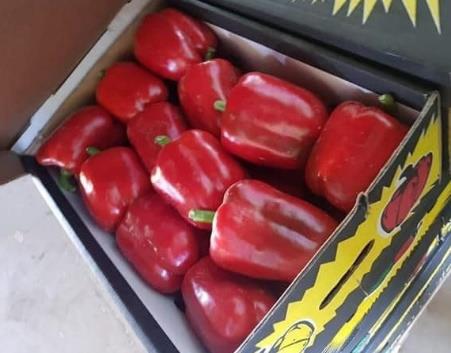 Red bell peppers