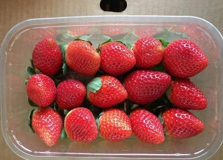 Fortonia strawberries